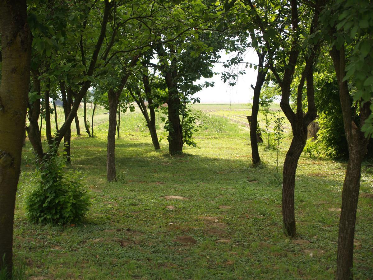 Pannonia Terranova Hotel Vardarac Luaran gambar